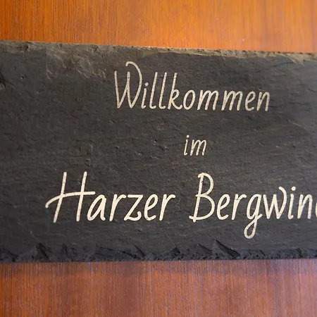 公寓 Harzer Bergwind Andreasberg, 1 Hund Bis 30kg Willkommen, Grosse Eingezaeunte Terrasse Mit Gasgrill 圣安德里斯伯格