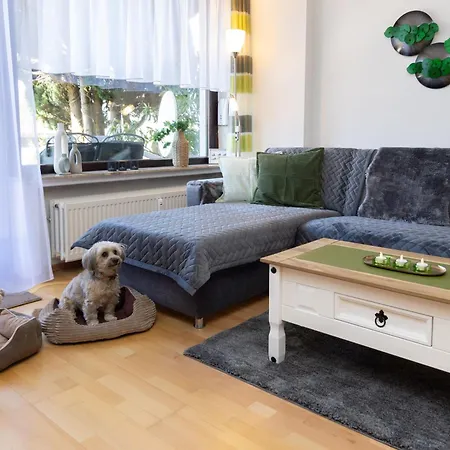 Harzer Bergwind Andreasberg, 1 Hund Bis 30kg Willkommen, Grosse Eingezaeunte Terrasse Mit Gasgrill *