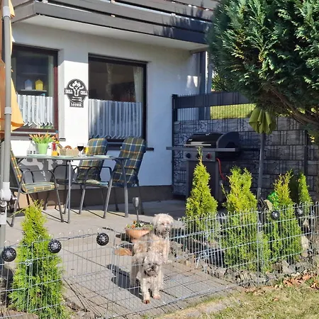 Harzer Bergwind Andreasberg, Hunde Willkommen, Grosse Eingezaeunte Terrasse Mit Gasgrill *