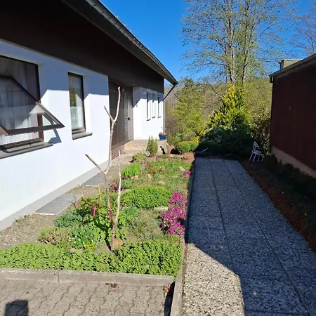 Harzer Bergwind Andreasberg, 1 Hund Bis 30kg Willkommen, Grosse Eingezaeunte Terrasse Mit Gasgrill アパート ザンクト・アンドレーアスベルク