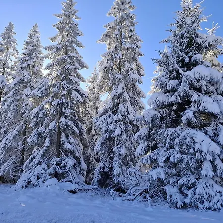 Harzer Bergwind Andreasberg, 1 Hund Bis 30kg Willkommen, Grosse Eingezaeunte Terrasse Mit Gasgrill Daire *