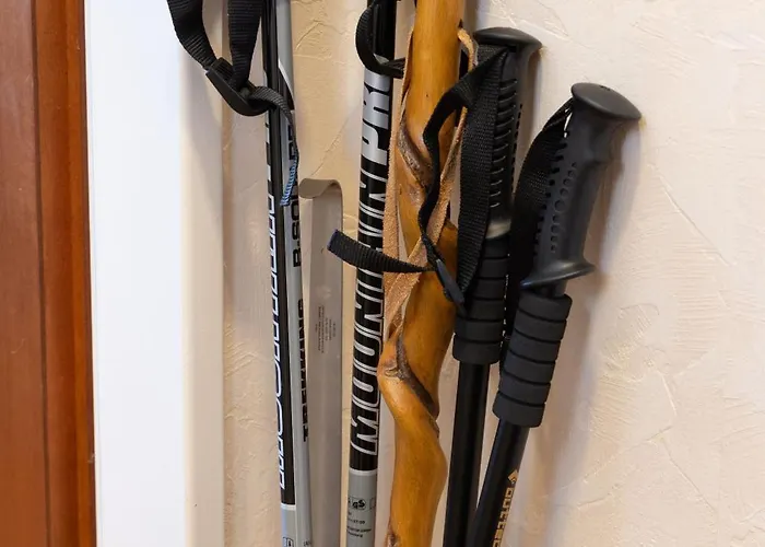 Apartman Harzer Bergwind Andreasberg, 1 Hund Bis 30kg Willkommen, Grosse Eingezaeunte Terrasse Mit Gasgrill *