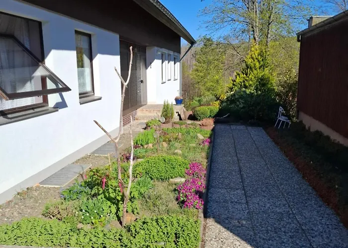 Harzer Bergwind Andreasberg, 1 Hund Bis 30kg Willkommen, Grosse Eingezaeunte Terrasse Mit Gasgrill Apartman Sankt Andreasberg