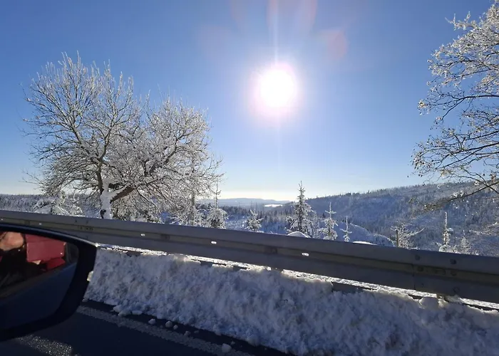 Harzer Bergwind Andreasberg, 1 Hund Bis 30kg Willkommen, Grosse Eingezaeunte Terrasse Mit Gasgrill